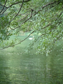 Schmollensee auf Usedom
